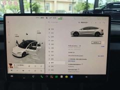Tesla Model 3 Long Range All-Wheel Drive - фото 12