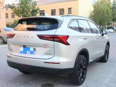 Haval H6 1.5T Two-Wheel Drive Ultra - фото 6