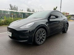 Tesla Model Y Long Range All-Wheel Drive - ფოტო 1