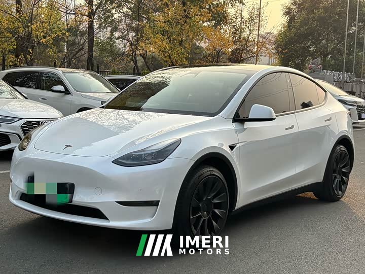 Tesla Model Y Long Range All-Wheel Drive - ავტომობილი ჩინეთიდან