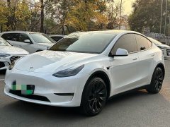 Tesla Model Y Long Range All-Wheel Drive - ფოტო 1