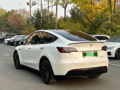 Tesla Model Y Long Range All-Wheel Drive - ფოტო 16