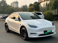 Tesla Model Y Long Range All-Wheel Drive - ფოტო 3
