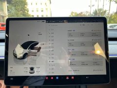 Tesla Model Y Long Range All-Wheel Drive - ფოტო 6