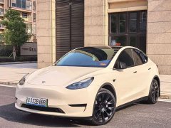 Tesla Model Y Rear-Wheel Drive - фото 1