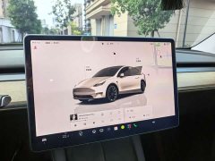 Tesla Model Y Rear-Wheel Drive - фото 18