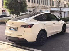 Tesla Model Y Rear-Wheel Drive - фото 4
