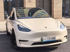 Tesla Model Y Rear-Wheel Drive - фото 7