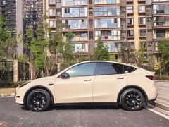Tesla Model Y Rear-Wheel Drive - фото 8