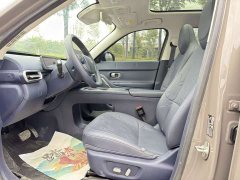 Leapmotor A10 505 Pleasure Edition - ფოტო 4