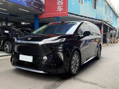 Buick Zhijing Shijia Luxury Edition - фото 1