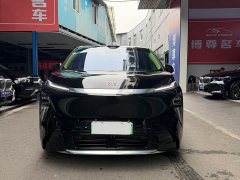 Buick Zhijing Shijia Luxury Edition - фото 2