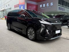 Buick Zhijing Shijia Luxury Edition - фото 3