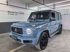 Mercedes-Benz G-Class G 500 - ფოტო 1