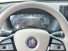 BYD Tang New Energy DM-i 115KM Premium Edition - photo 10