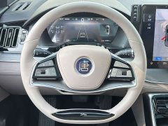 BYD Tang New Energy DM-i 115KM Premium Edition - photo 12