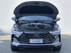 BYD Tang New Energy DM-i 115KM Premium Edition - photo 8