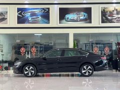 Volkswagen Magotan 300TSI DSG Prestige Edition with Eye-Catching Package - photo 3