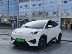 BYD Seagull Smart Drive 405km Freedom Edition - ფოტო 1