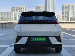 BYD Seagull Smart Drive 405km Freedom Edition - ფოტო 16