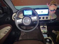Wuling Binguo 203km Comfort Edition - ფოტო 11