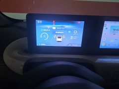 Wuling Binguo 203km Comfort Edition - ფოტო 12