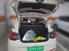 Wuling Binguo 203km Comfort Edition - ფოტო 20