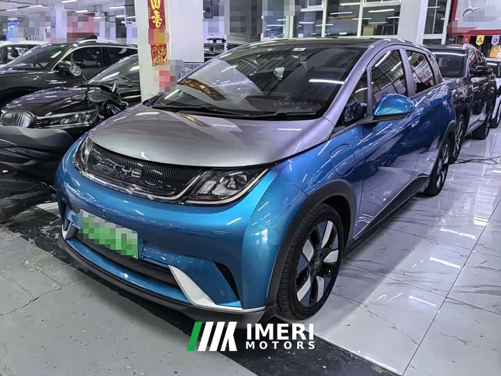 BYD Dolphin 401km Knight Edition
