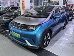 BYD Dolphin 401km Knight Edition - ფოტო 1