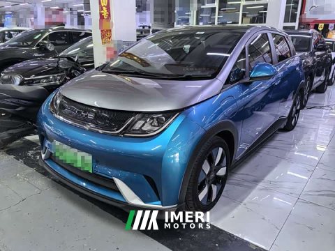 2022 BYD Dolphin 401km Knight Edition - автомобиль из Китая