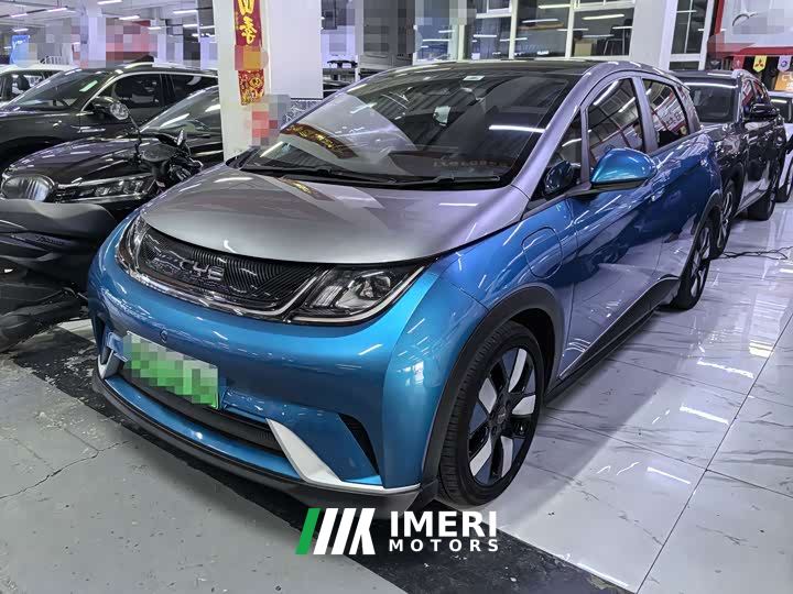 BYD Dolphin 401km Knight Edition