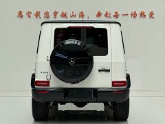 Mercedes-Benz G-Class G 500 - ფოტო 8