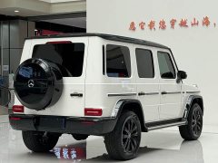 Mercedes-Benz G-Class G 500 - ფოტო 9
