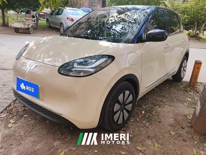 Wuling Binguo 333km Lingxi Connected Edition - car from China