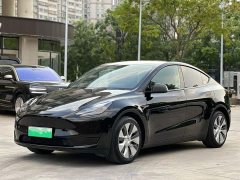 Tesla Model Y Facelift Rear-Wheel Drive - ფოტო 1