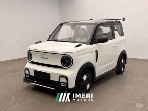 2024 Geely Panda 210km Panda Kart - автомобиль из Китая