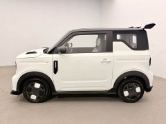 Geely Panda 210km Panda Kart - ფოტო 14
