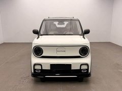 Geely Panda 210km Panda Kart - ფოტო 2