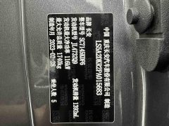 Changan Eado Enjoy Plus Blue Whale NE 1.4T GDI DCT Luxury Edition - ფოტო 8