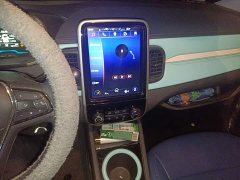 Chery Ant 200k Ant Fans Edition Oxygen Edition Lithium iron phosphate 301km - фото 14