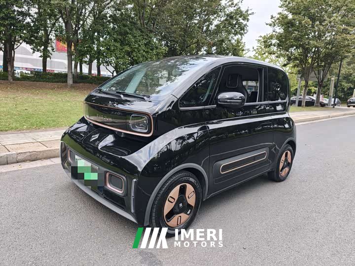 Wuling Baojun KiWi EV Artist Lite Edition Ternary Lithium