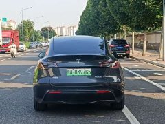 Tesla Model Y Rear-Wheel Drive - ფოტო 6