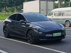 Tesla Model Y Rear-Wheel Drive - ფოტო 8