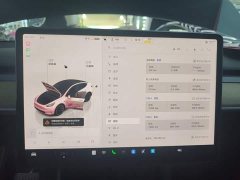 Tesla Model Y Rear-Wheel Drive - ფოტო 7