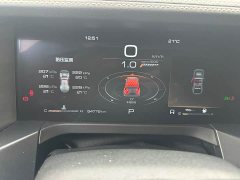 Tank 300 2.0T Challenger - фото 7