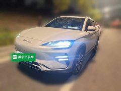 BYD Song Plus New Energy Champion Edition EV 520KM Flagship - photo 1