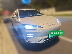 BYD Song Plus New Energy Champion Edition EV 520KM Flagship - photo 3