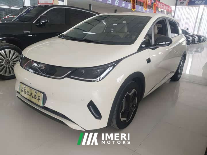 BYD Dolphin Smart Drive 420km Freedom Edition