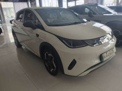 BYD Dolphin Smart Drive 420km Freedom Edition - ფოტო 3