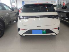 BYD Dolphin Smart Drive 420km Freedom Edition - ფოტო 5
